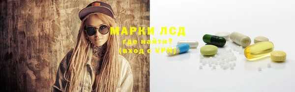 таблы Новозыбков