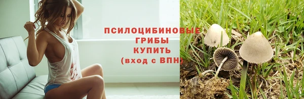 таблы Новозыбков