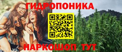 прущие крисы Аргун