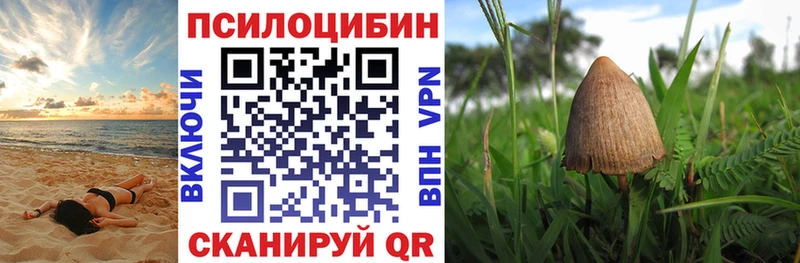 Псилоцибиновые грибы мицелий  Кирово-Чепецк 