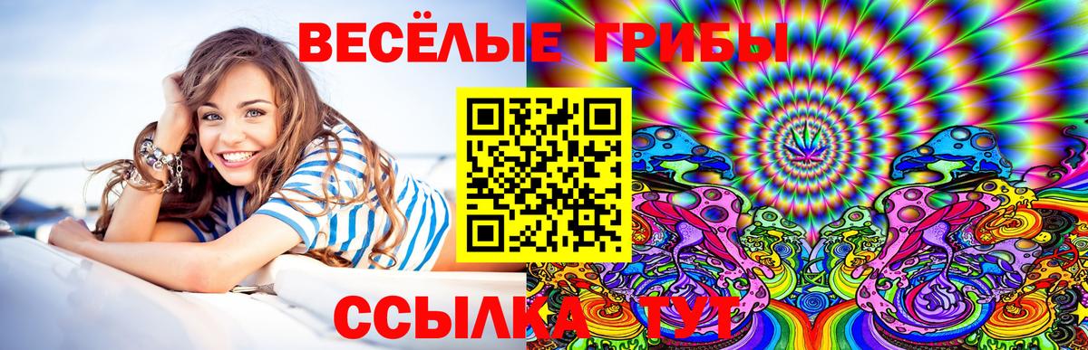 Галлюциногенные грибы Cubensis Кирово-Чепецк